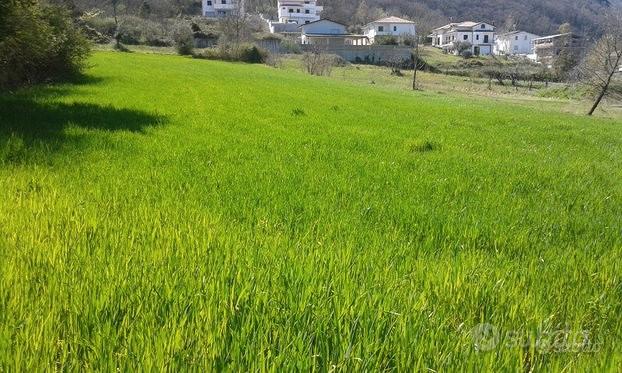 Terreno agricolo - Vista 4