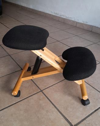 sgabelli ergonomici 