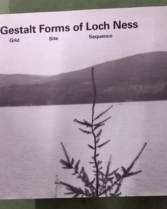 Gestalt Forms of Loch Ness. BYRNE, Gerard.