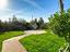 Immagine 29