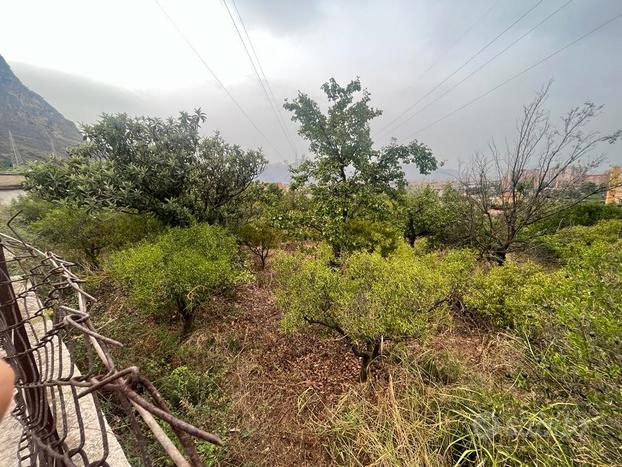 Terreno agricolo Zona Bonagia