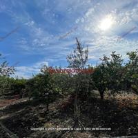 Terreno, Campofelice di Roccella.