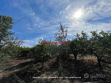 Terreno, Campofelice di Roccella.