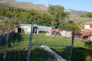 Terreno licusati lato strada con utenze