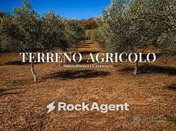 Terreno di 23500 m² a Marcellinara