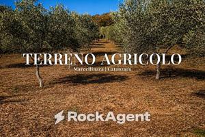 Terreno di 23500 m² a Marcellinara