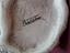 Immagine 6