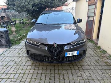 ALFA ROMEO Tonale - 2024