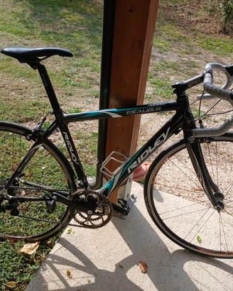 Ridley excalibur