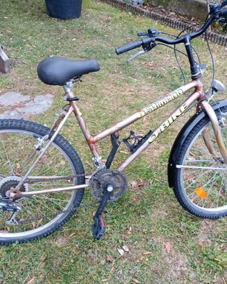 Bici usata