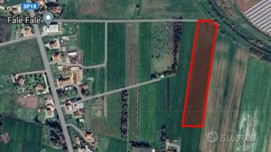 Terreno 18 ha - Borgo Sabotino (LT) | TR325