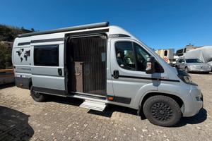 LAIKA KOSMO 6.4 2021