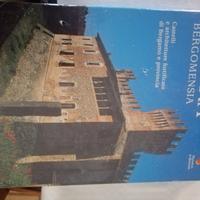 Castra Bergomensia -Castelli della Bergamasca
