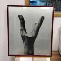 COLLEZIONE QUADRI - PINO DALGAL