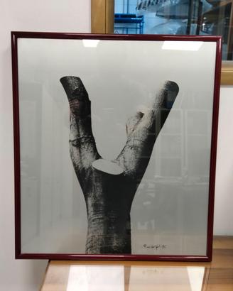 COLLEZIONE QUADRI - PINO DALGAL