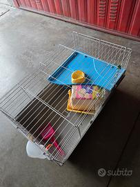gabbia coniglio