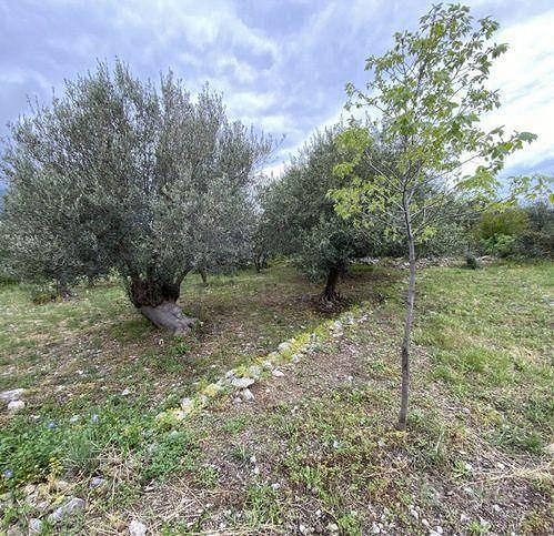 Rustico / Casale di 80 m² con 3 locali a Carini - Vista 5
