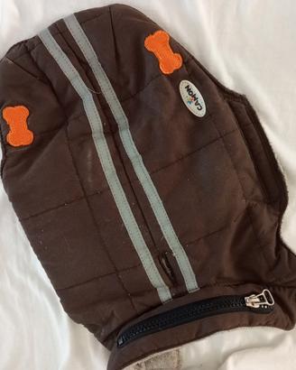 cappottino per cani di piccola taglia 