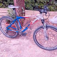 MTB bottecchia