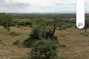 Terreno a 1 km.paese sinnai