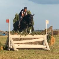 Pony da completo e salto ostacoli