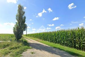 TER. AGRICOLO A QUINZANO D'OGLIO
