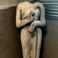 Statua buddha