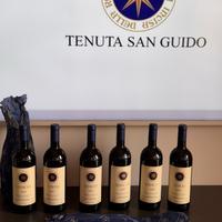 Sassicaia 2016 2017 2018 2019 2020 2021 