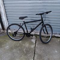 Bici da uomo/donna 