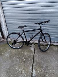 Bici da uomo/donna 