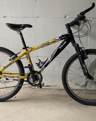 Bici ragazzo