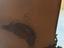 Immagine 5