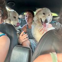 Due anime meravigliose sognano la libertà