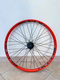 Ruota posteriore 24”