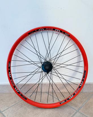 Ruota posteriore 24”