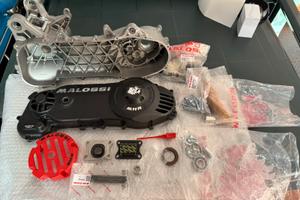 Carter Malossi c-one + copri carter MHR