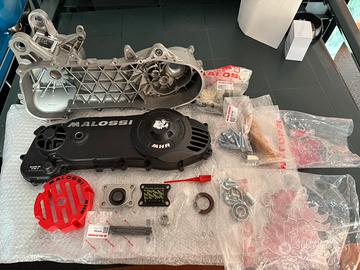 Carter Malossi c-one + copri carter MHR