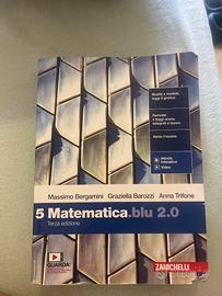 matematica blu 5