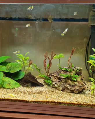 ACQUARIO ASKOL L PURE BIANCO 68 LT