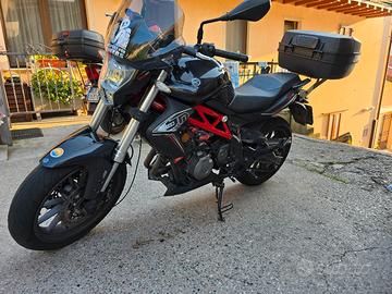 BENELLI BN 302 2017