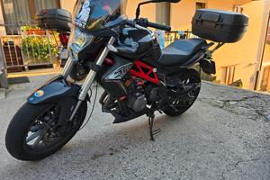 BENELLI BN 302 2017