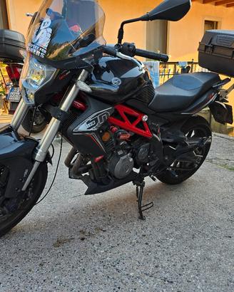 BENELLI BN 302 2017