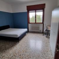 Camera singola ad uso matrimoniale ampia e riserva