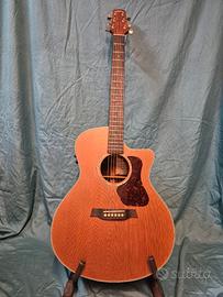 Chitarra acustica  Walden