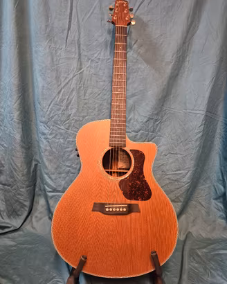 Chitarra acustica  Walden