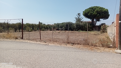 Terreno artigianale
