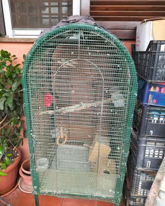 gabbia per uccelli o pappagalli 