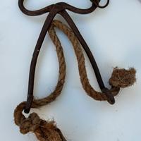 Pinza antica naso per tori