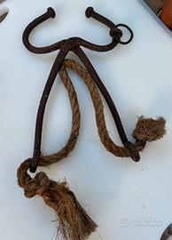 Pinza antica naso per tori