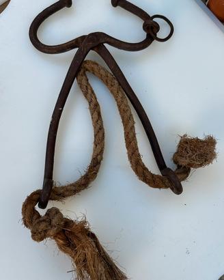 Pinza antica naso per tori